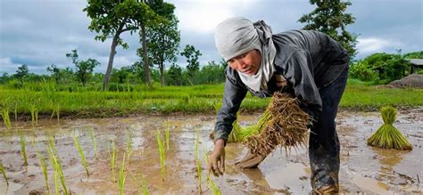 This Filipino Startup Cropital Helps Farmers By Crowdfunding Their