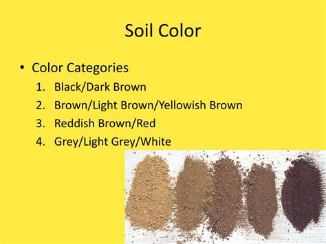 Ppt Soil Science Powerpoint Presentation Free Download Id1923890