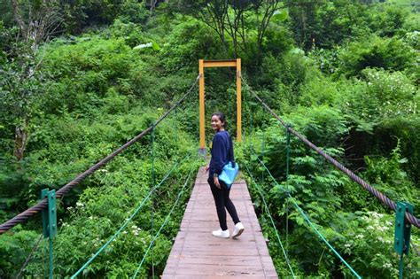 Tragedi jembatan roboh di hutan lindung kota langsa lagi hits, 6 wisata kekinian di kota langsa vlog : Wisata Taman Hutan Raya Bandung, Tiket, Fasilitas, Spot ...