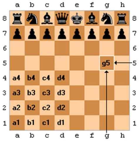 An Introduction To Chess Revisiting The Algebraic Notation Stabroek News
