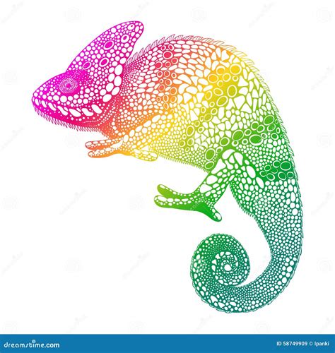 Zentangle Stylized Multi Coloured Chameleon Hand Drawn Reptile Cartoon