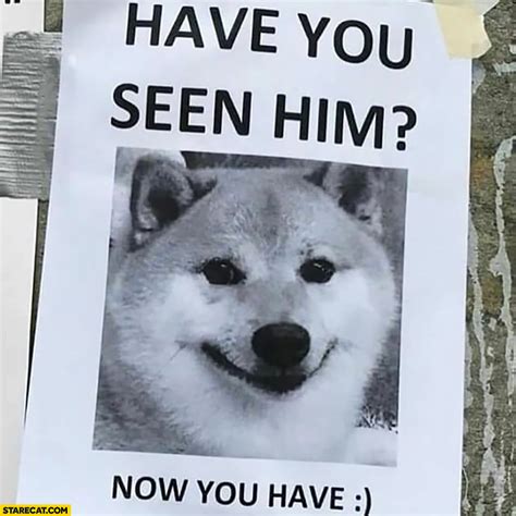 Have You Seen Him Now You Have Doge Poster