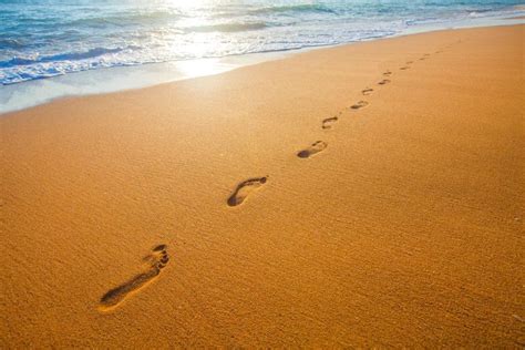 Footprints In The Sand Footprint In The Sand Footprint God