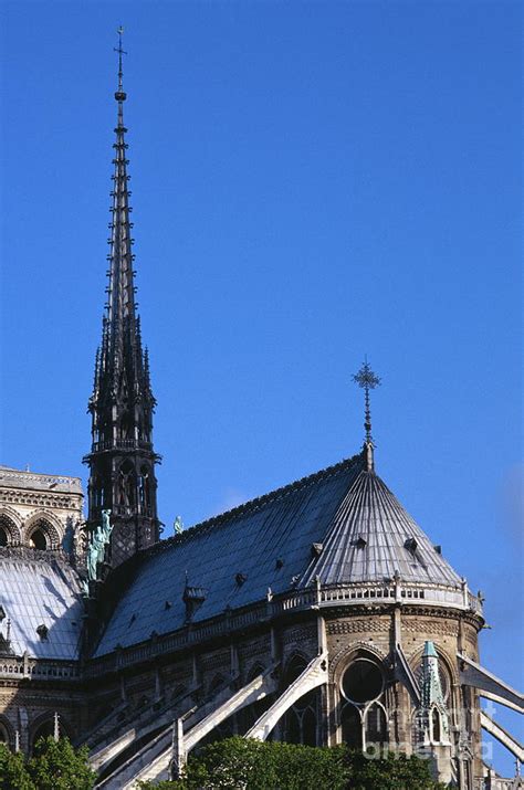 Notre Dame Photograph By Chris Selby Fine Art America