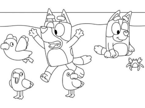 Bluey Bingo Coloring Pages