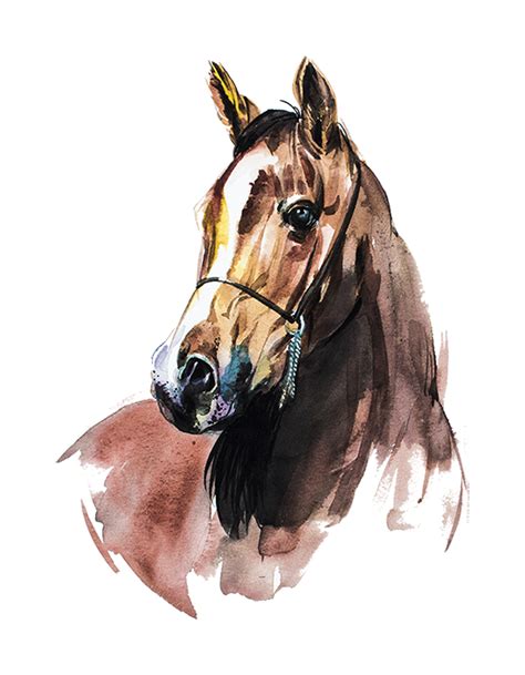 Watercolor Horse Painting Watercolor Paintings Of Animals Loose