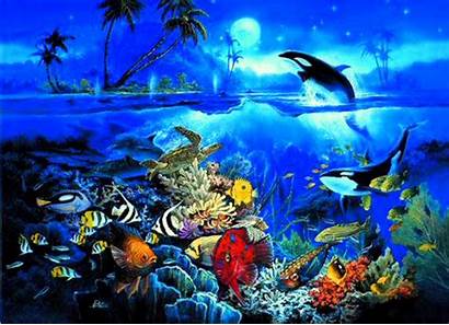 Ocean Underwater Sea Backgrounds Background Wallpapers Desktop