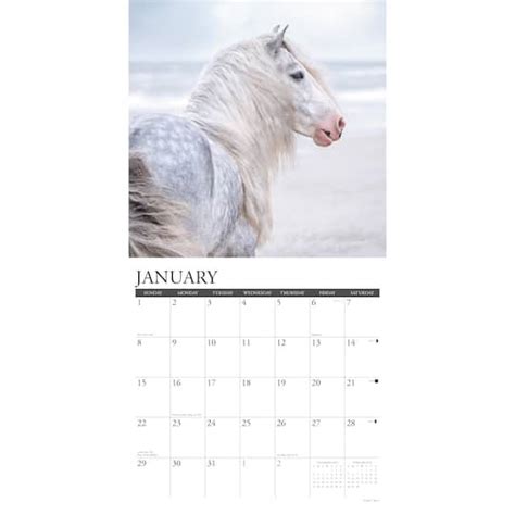 2023 Just Horses Wall Calendar Wall Calendars Michaels