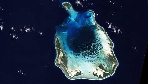 Check spelling or type a new query. Darwin's theory about atolls is 'beautiful' but wrong ...