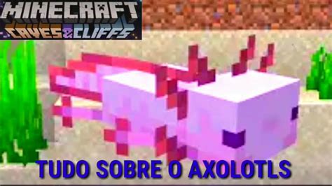 We did not find results for: tudo sobre o axolotls a salamandra maxicana no MINECRAFT ...