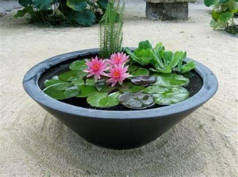 The aquatic plants keep the pond water clear. japanese-mini-ponds