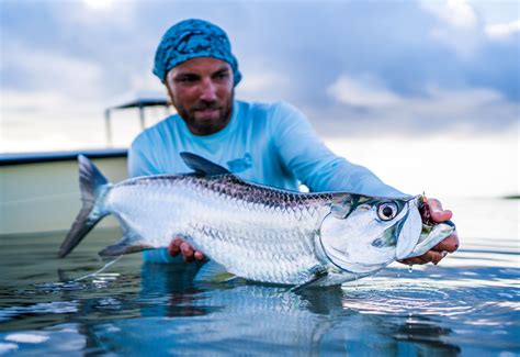 5 Tips for Landing Your First Tarpon Presented by Scientific Anglers