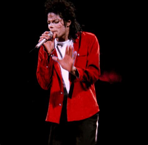 Michael Jackson Michael Jackson Photo 23845888 Fanpop