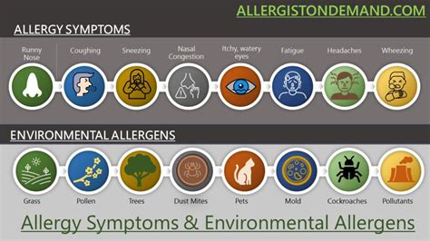 Allergy Symptoms And Environmental Allergens Allergist On Demand