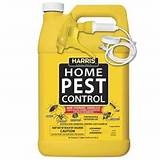 Photos of Harris Home Pest Control Kills Stink Bugs