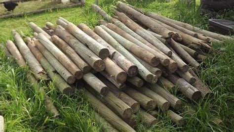 Treating Timber Poles Treated Poles