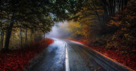 Colorful Road In Fall 4k Ultra Hd Wallpaper Nature Photography
