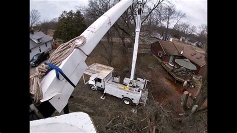 Bucket Truck Tree Removal And Felling With The 038 And New Bar Youtube