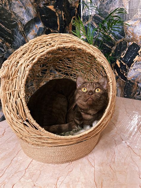 Cat Bed Handmade Cat Bed Fluffy Pet Bed Basket Warmsoft Etsy