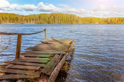 Forest Lake Or River On Summer Day And Old Rustic Wooden Dock Or Pier