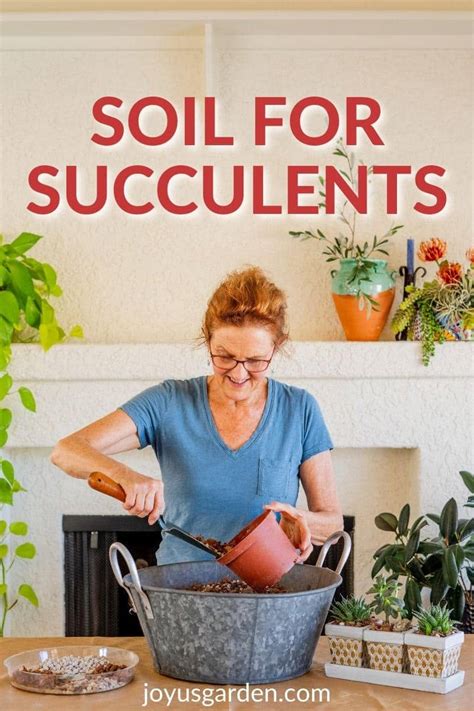 Succulent Soil Mix The Best For Succulent Plants Joy Us Garden
