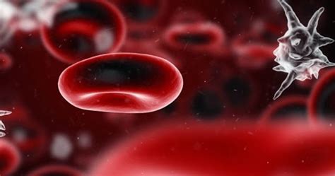 Sel darah merah yang terdapat di dalam tubuh manusia memiliki fungsi sebagai … a. Mdmnissa: Jangkitan Kuman Dalam Darah
