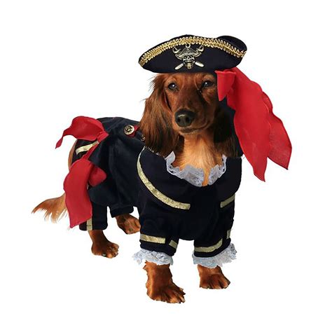Our Official Buccaneer Pirate Dog Costume Is The Perfect Product For