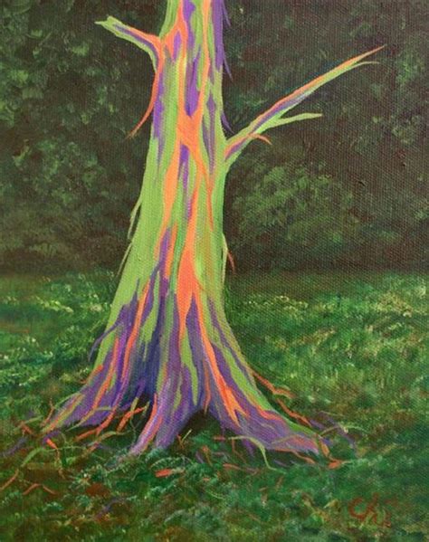 Rainbow Eucalyptus By Christi Lynn Schwartzkopf From Cpencilandacrylic