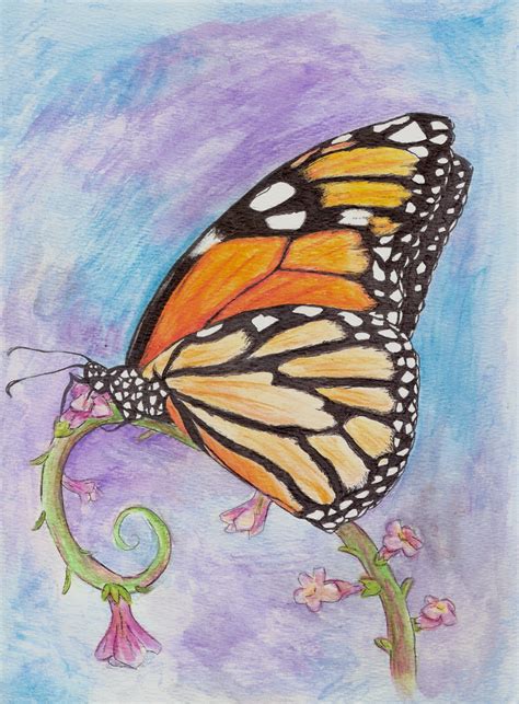 Monarch Butterfly Watercolor By Emberwoodforest On Deviantart