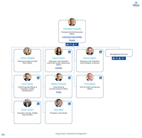 Hiltons Organizational Structure Interactive Chart Organimi