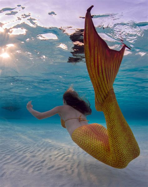Stunning Snaps Real Life Mermaid Swimming With Stingrays Nature