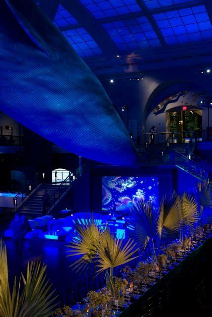 68 Under The Sea Prom Ideas Under The Sea Under The Sea Party Under