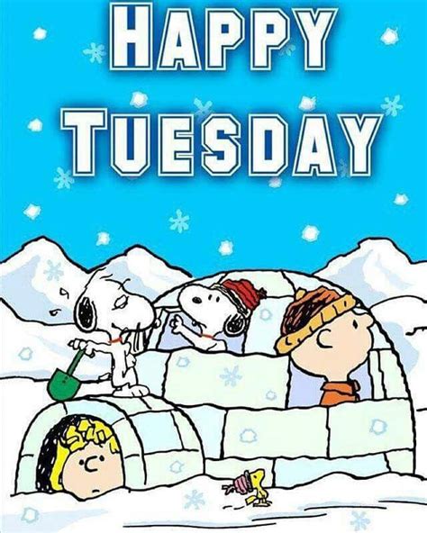 Pin By Tena Whitt On Peanuts Happy Tuesday Quotes Happy Tuesday