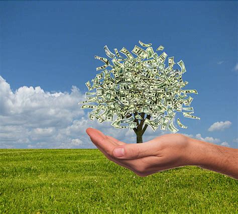 Royalty Free Money Tree Pictures Images And Stock Photos Istock