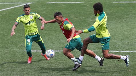 verdão faz atividades técnicas e táticas e encerra preparação para enfrentar a chape palmeiras