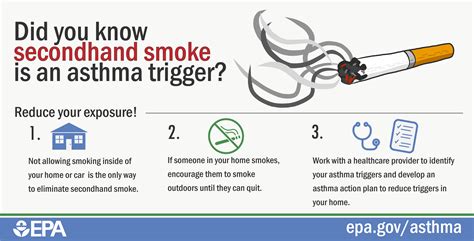 asthma triggers infographics