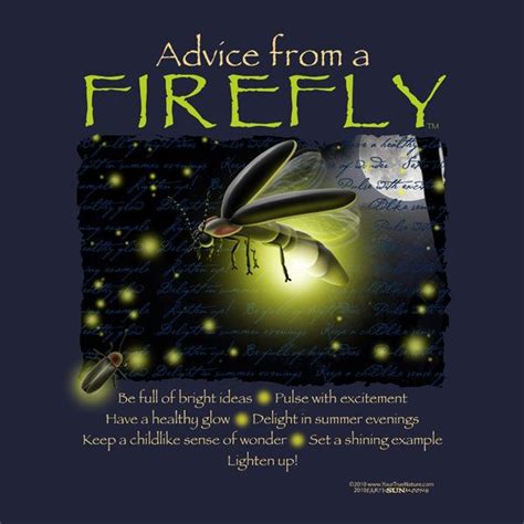 Firefly Quotes And Sayings Quotesgram