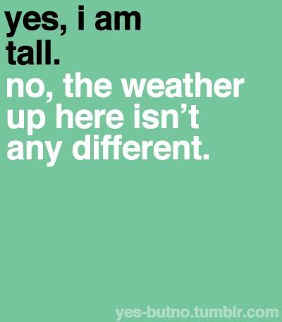 Funny Quotes About Tall People Shortquotes Cc