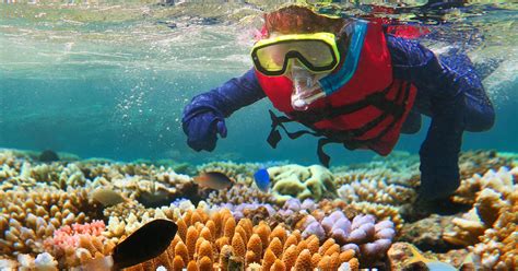 A New Way To Save Coral Reefs And Other Research Findings Columbia
