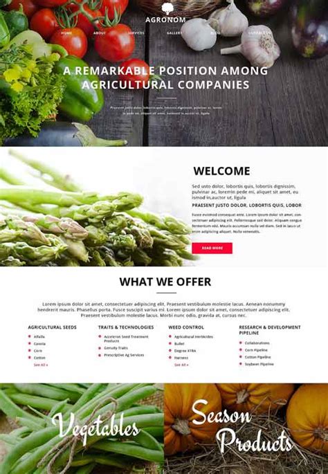 Find agriculture information, info on organic food, organic produce, ministry of agriculture, agriculture in america about blog this is an agricultural machinery website created by an experienced agricultural engineer with the aim of helping and advising farmers identify. 57 Best Agriculture Website Templates Free & Premium ...