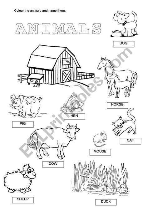 Pet Animals Worksheet For Kindergarten Anna Blog