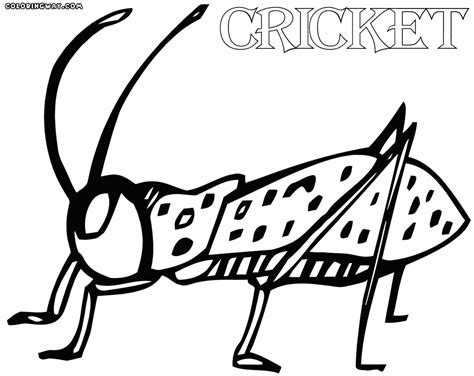 Cricket Coloring Pages Coloring Pages To Download And Print