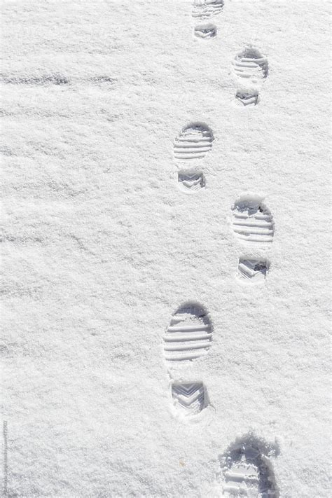 Footprints In Fresh Snow By Stocksy Contributor Amanda Large Stocksy