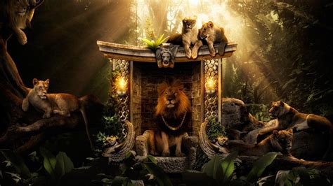 2048x1152 Lions Jungle 2048x1152 Resolution Hd 4k Wallpapers Images