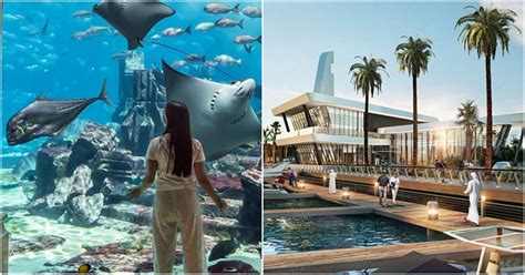 Middle Easts Biggest Aquarium Opens In Abu Dhabi Next Year Abu Dhabi Ofw