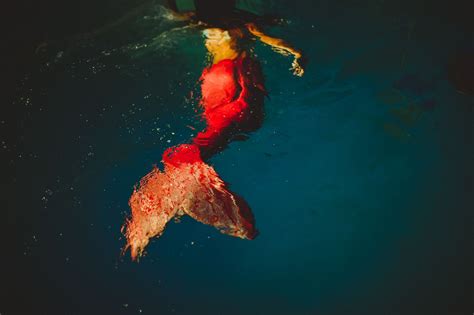 Mermaid Sighting Lenkaland Photography Mermaid Tail Costume Fin Fun