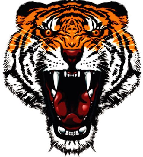 Transparent Angry Mouth Png - Angry Tiger Face Png Clipart - Full Size png image