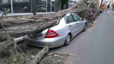 Can I Claim Compensation For Damage Caused By Tree Falling On My Car