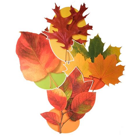 Autumn Leaf Cutouts