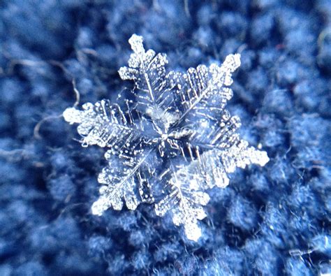 Macro Iphone Images Of Snowflakes From A Midwest Snowstorm Tara